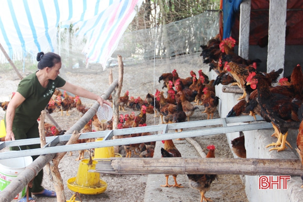 Dư nợ cho vay hộ mới thoát nghèo ở Hà Tĩnh đạt hơn 1.000 tỷ đồng