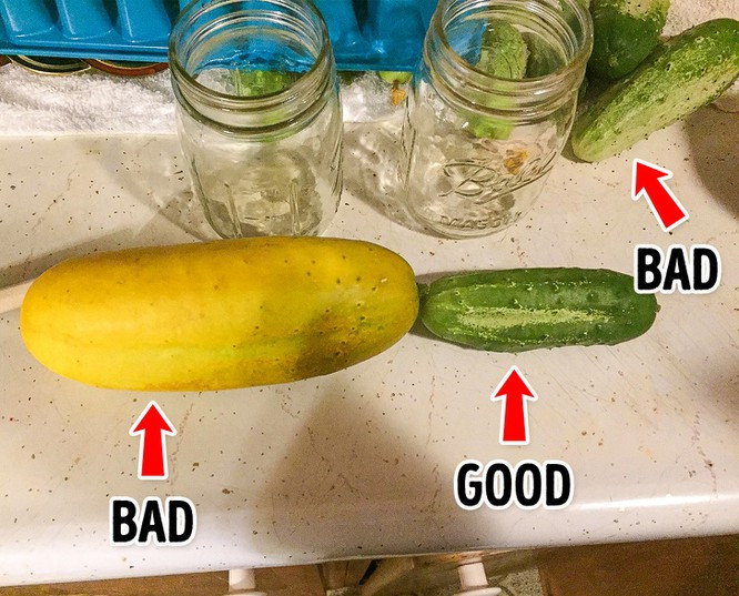 Mẹo hay để kiểm tra chất lượng sản phẩm trước khi mua