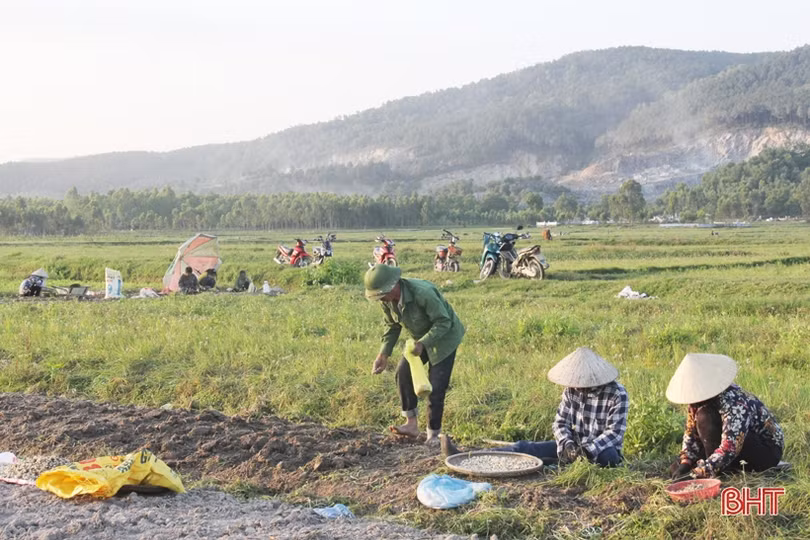 Về Hà Tĩnh xem nông dân “bới đất” kiếm... tiền