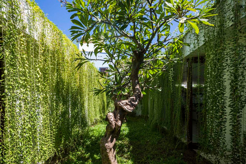 Mang thiên nhiên trải dài trong mỗi góc nhà
