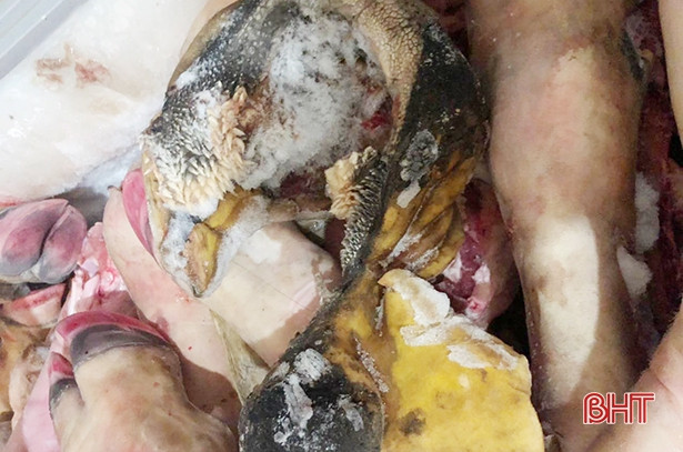 Phát hiện 210 kg chân, đuôi, tai bò không rõ nguồn gốc xuất xứ ở Vũ Quang