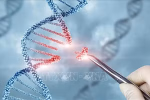 Lần đầu tiên, các nhà khoa học chỉnh sửa chính xác gene trong phôi người