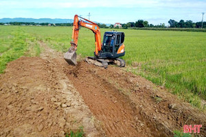 "Gỡ khó" trong giải quyết đất dư thừa từ tích tụ ruộng đất