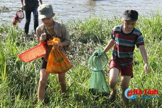 Độc đáo lễ hội đánh cá Đồng Hoa