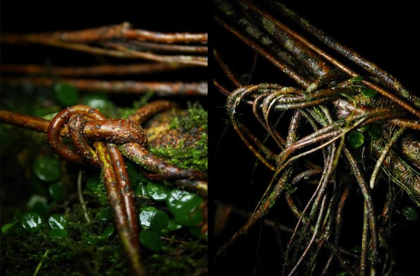 Đến thăm ngôi làng có lượng mưa nhiều nhất thế giới ảnh 8 den tham ngoi lang co luong mua nhieu nhat the gioi