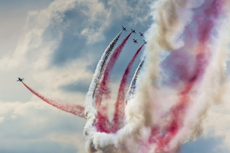 anh dep ngoan muc man phi ngua qua lua o tay ban nha