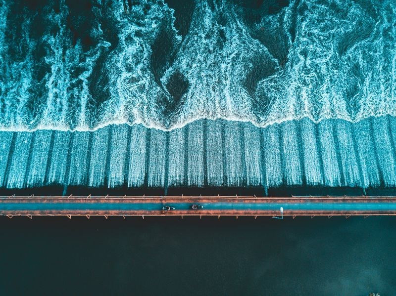 anh dep ngoan muc man phi ngua qua lua o tay ban nha