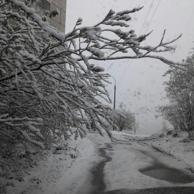 photo nguoi dan nga ngo ngang nhin tuyet roi giua mua he