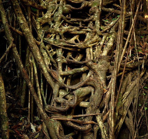 Đến thăm ngôi làng có lượng mưa nhiều nhất thế giới ảnh 15 den tham ngoi lang co luong mua nhieu nhat the gioi