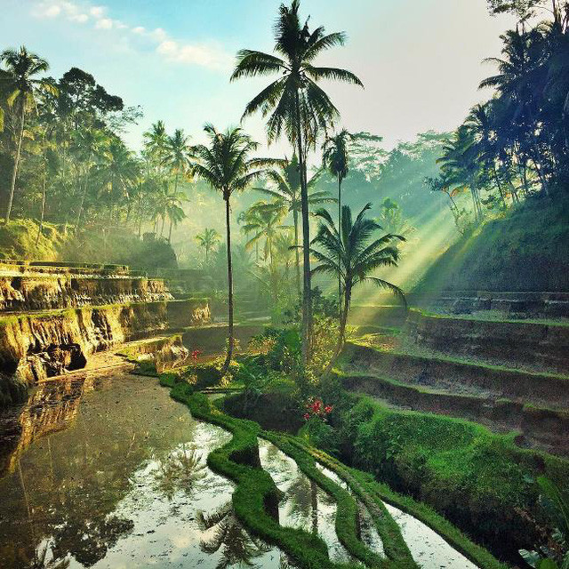 nhung buc anh quyen ru khien ban ngay lap tuc muon mua ve den bali