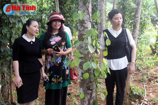 quan ly chat che cac mo hinh de tao niem tin cho to chuc tai tro