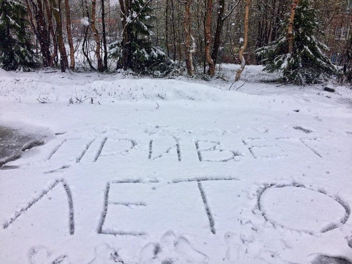 photo nguoi dan nga ngo ngang nhin tuyet roi giua mua he