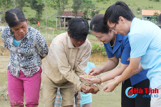 tang giong vat tu nong nghiep giup dong bao chut san xuat lua he thu