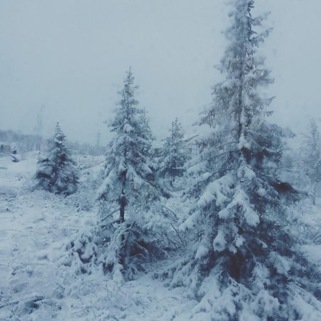 photo nguoi dan nga ngo ngang nhin tuyet roi giua mua he