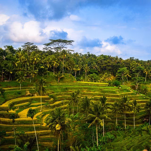 nhung buc anh quyen ru khien ban ngay lap tuc muon mua ve den bali