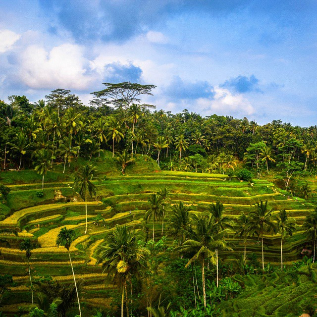 nhung buc anh quyen ru khien ban ngay lap tuc muon mua ve den bali