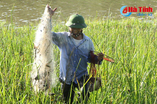 Độc đáo lễ hội đánh cá Đồng Hoa