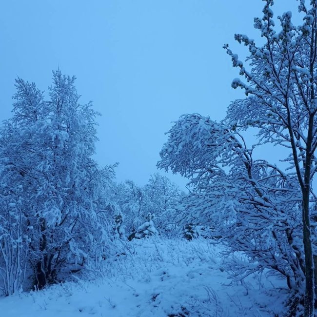 photo nguoi dan nga ngo ngang nhin tuyet roi giua mua he