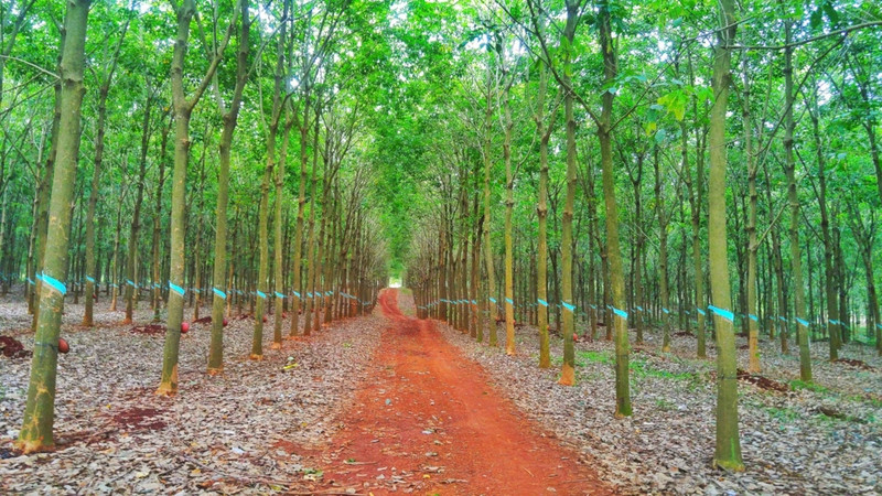 he ky thu tren cung duong bien nam trung bo tay nguyen