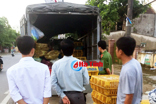 bat xe tai cho 100 con ga troi noi tu nghe an vao huong khe tieu thu