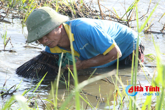 Độc đáo lễ hội đánh cá Đồng Hoa