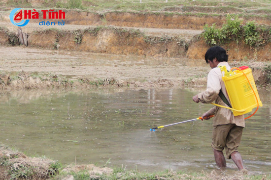 tang giong vat tu nong nghiep giup dong bao chut san xuat lua he thu