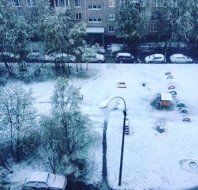 photo nguoi dan nga ngo ngang nhin tuyet roi giua mua he