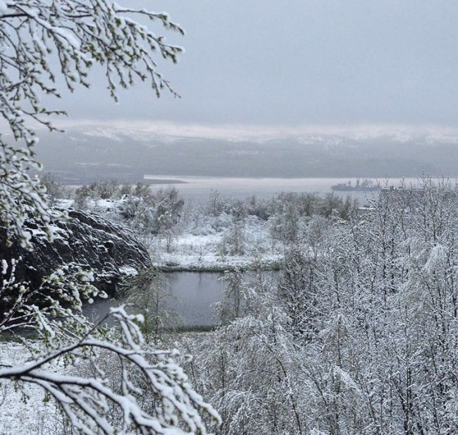 photo nguoi dan nga ngo ngang nhin tuyet roi giua mua he