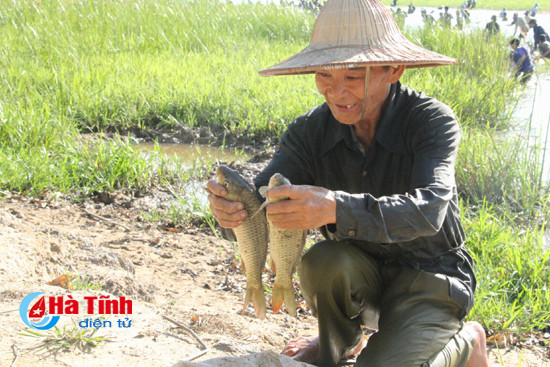 Độc đáo lễ hội đánh cá Đồng Hoa