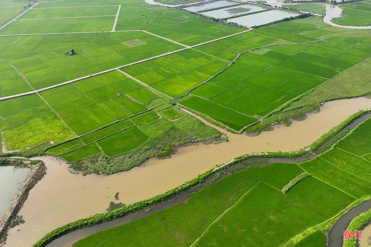 bqbht_br_nong-nghiep-4020.jpg