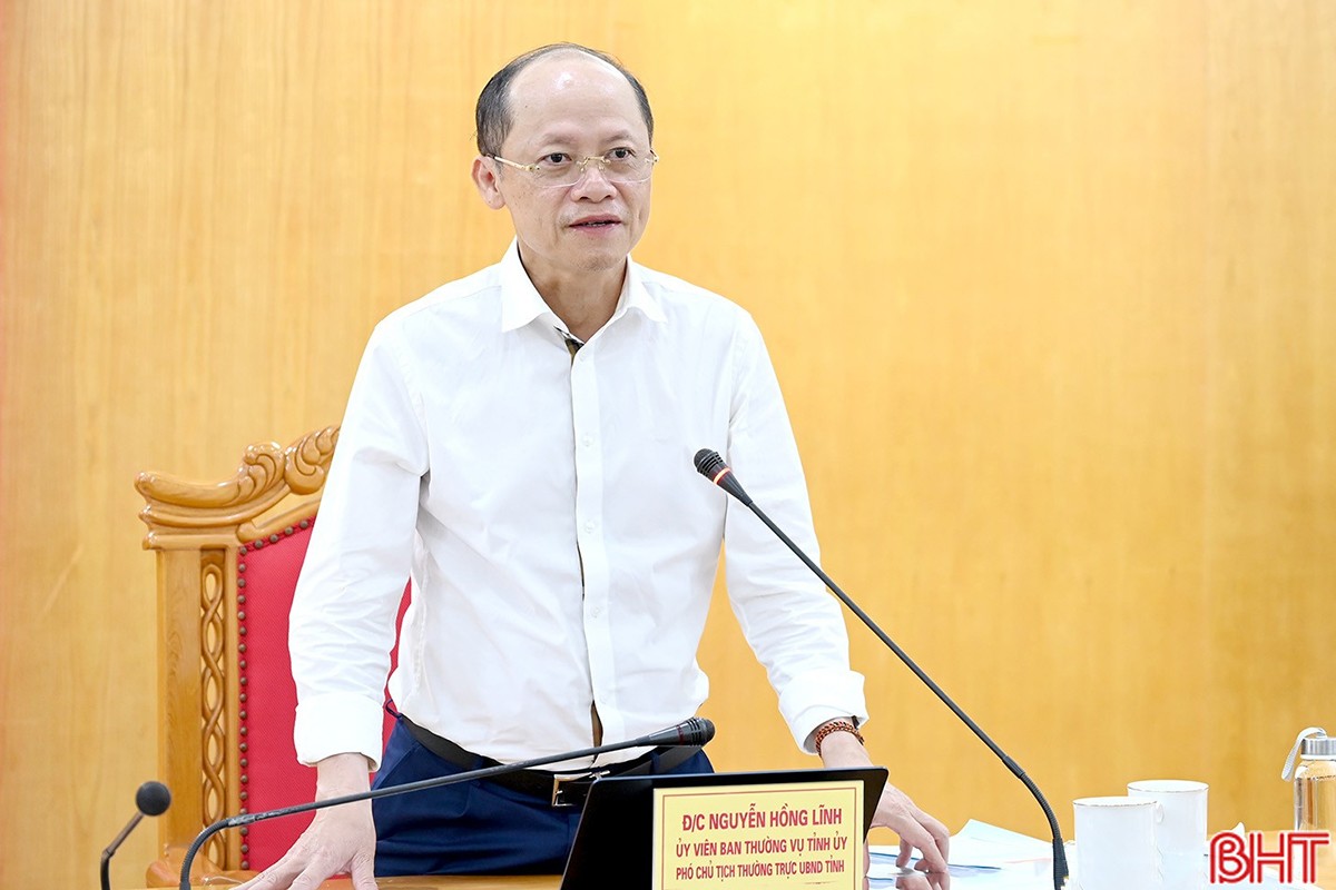 Phó Chủ tịch Thường trực UBND tỉnh Nguyễn Hồng Lĩnh kết luận hội nghị. linhana.jpg