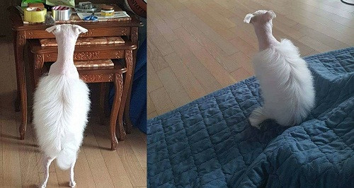 10 anh hai hot nhat facebook trong ngay