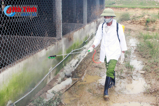 23 gia suc mac benh lmlm nguy co lan dich con cao