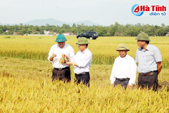 tai co cau nong nghiep ky anh nhung chuyen dong tich cuc