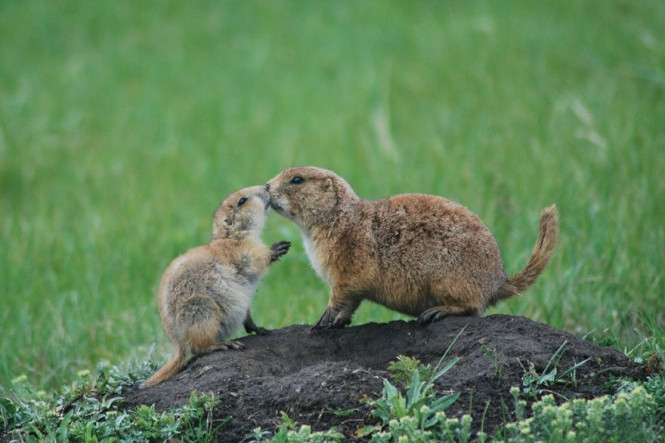 xem anh tre em chup doat giai nhiep anh national geographic