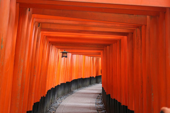 xem anh tre em chup doat giai nhiep anh national geographic