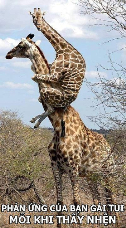 10 anh hai hot nhat facebook trong ngay