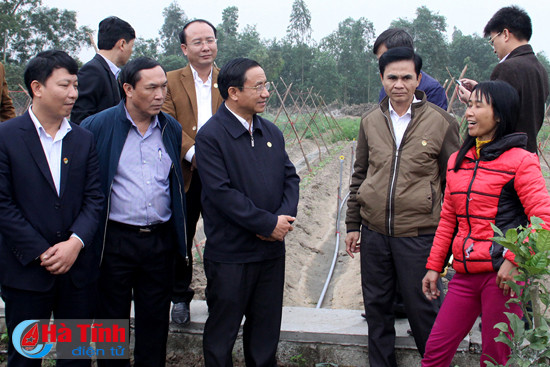 dam bao cac dieu kien cho hoi nghi toan quoc van phong dieu phoi ntm