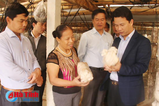 san xuat nam theo huong cong nghe cao san pham hang hoa
