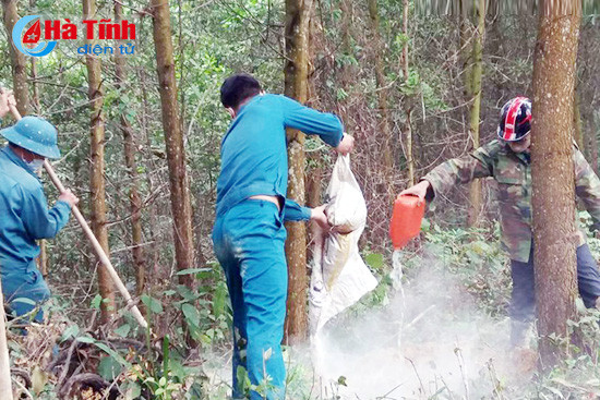 tieu huy 8 con bo chet bat thuong cua mot ho dan huong khe
