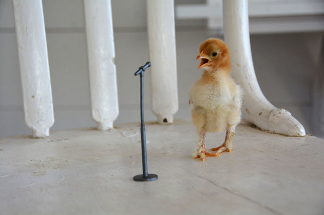 xem anh tre em chup doat giai nhiep anh national geographic