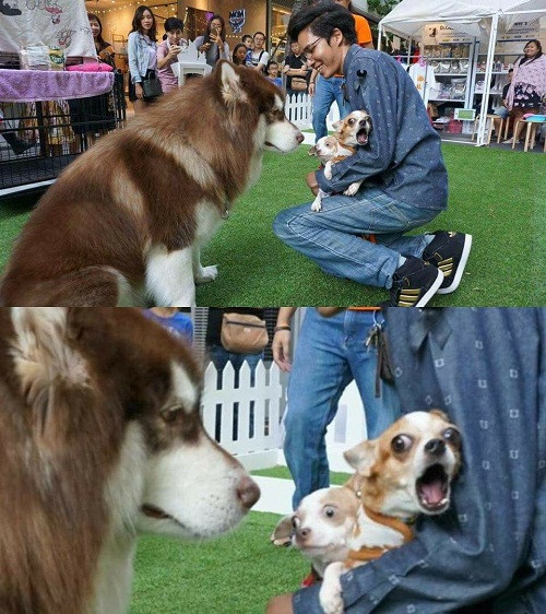 10 anh hai hot nhat facebook trong ngay