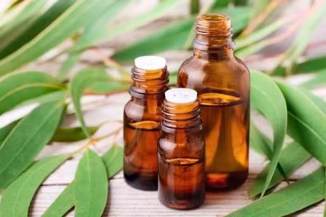 4 cách khắc phục tại nhà chứng ho dai dẳng sau nhiễm trùng hô hấp