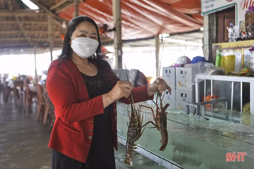 Cơ sở lưu trú, nhà hàng ở Hà Tĩnh giảm giá, khuyến mãi hút khách du lịch