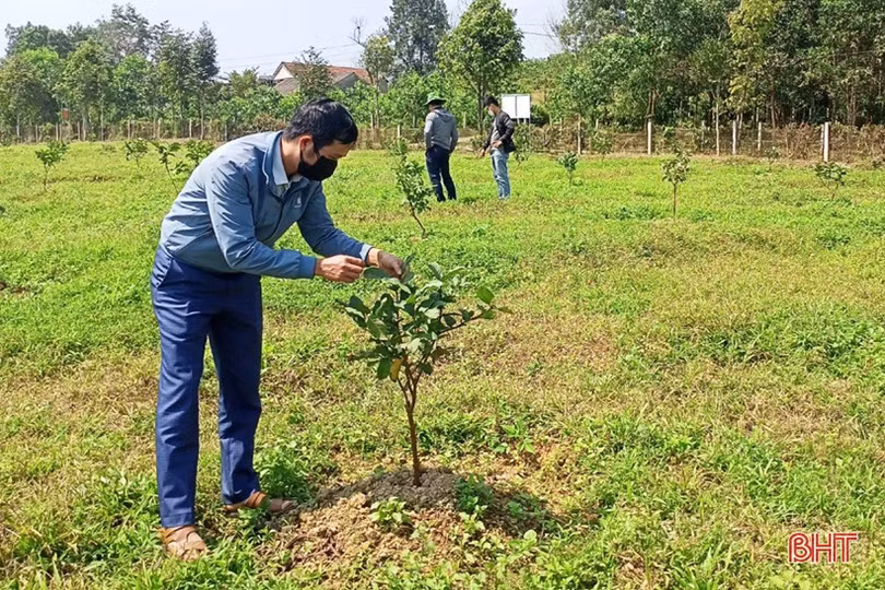 Vũ Quang xây dựng 5 mô hình sản xuất nông nghiệp hữu cơ đầu tiên trên địa bàn