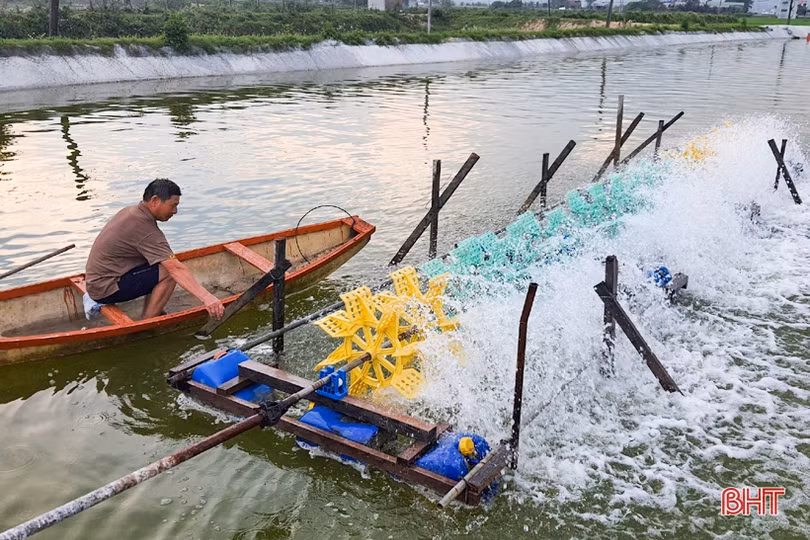 Cú hích” để người nuôi tôm huyện Kỳ Anh tiến tới thâm canh công nghệ cao