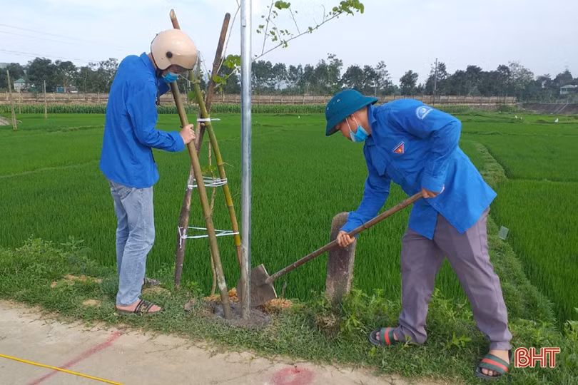 Lắp đặt công trình “Đường điện thanh niên” gần 30 triệu đồng tại Vũ Quang