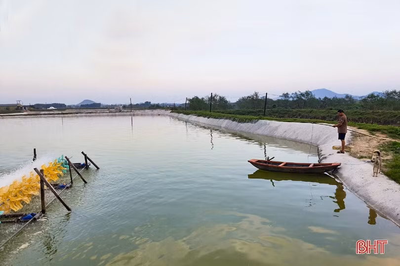 Cú hích” để người nuôi tôm huyện Kỳ Anh tiến tới thâm canh công nghệ cao