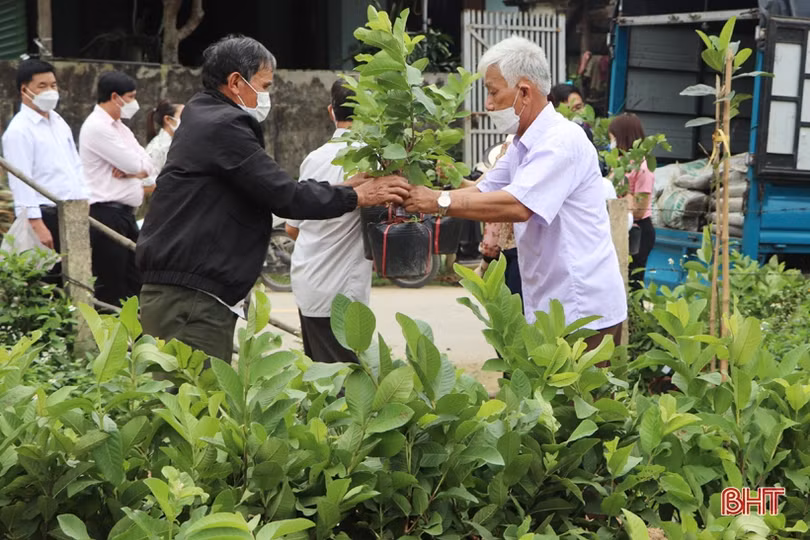 Vũ Quang xây dựng 5 mô hình sản xuất nông nghiệp hữu cơ đầu tiên trên địa bàn