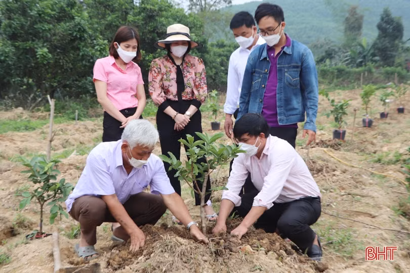 Vũ Quang xây dựng 5 mô hình sản xuất nông nghiệp hữu cơ đầu tiên trên địa bàn